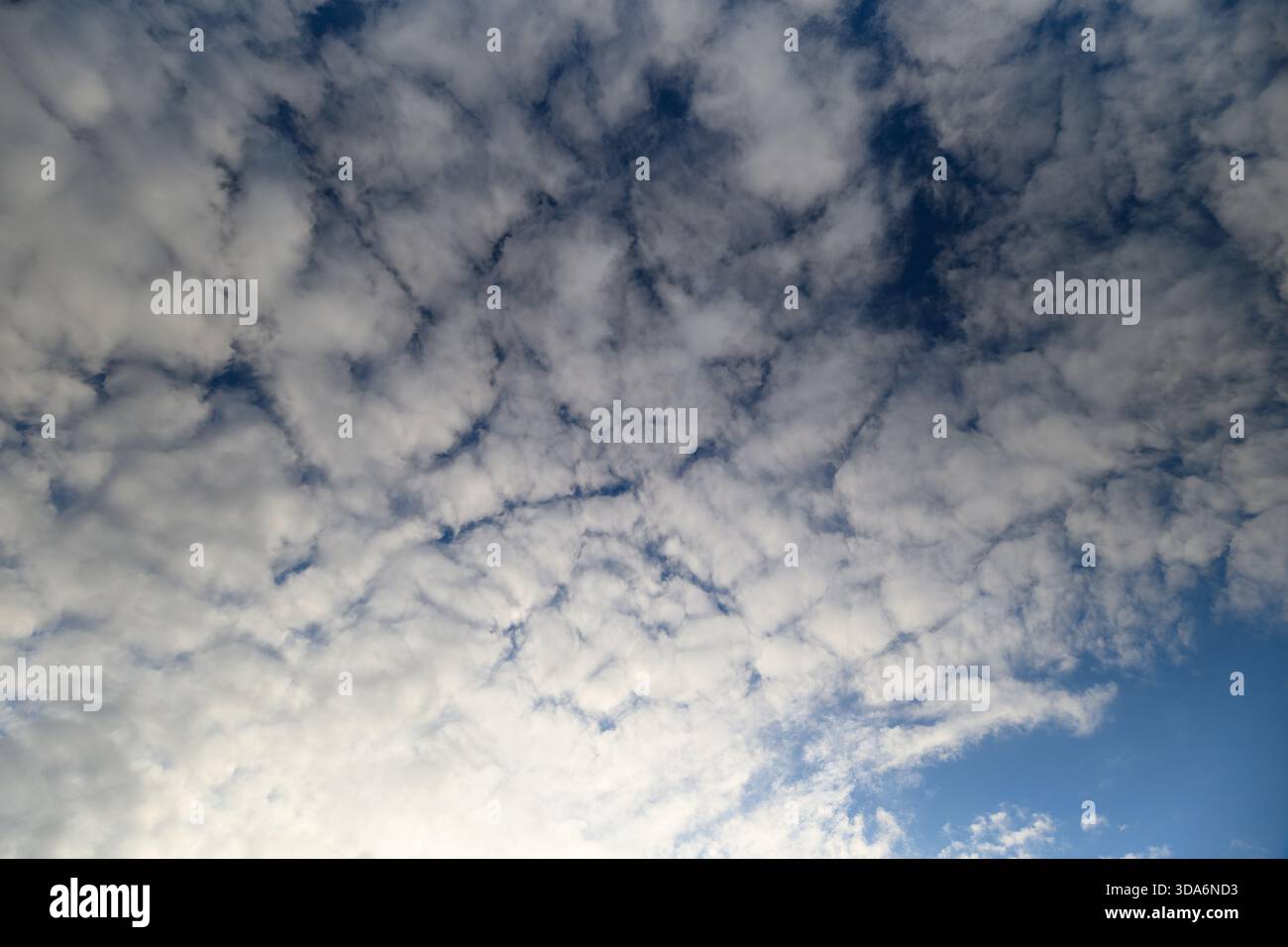 Ein weitläufiger, atemberaubender Blick auf einen Himmel voller wunderschön strukturierter Wolken und tiefblauer Töne Stockfoto