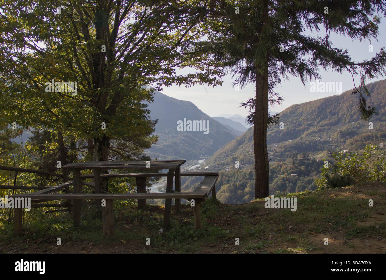 Hölzerner Picknicktisch unter einem Baum mit Blick auf ein malerisches Bergtal in sanftem Tageslicht. Stockfoto