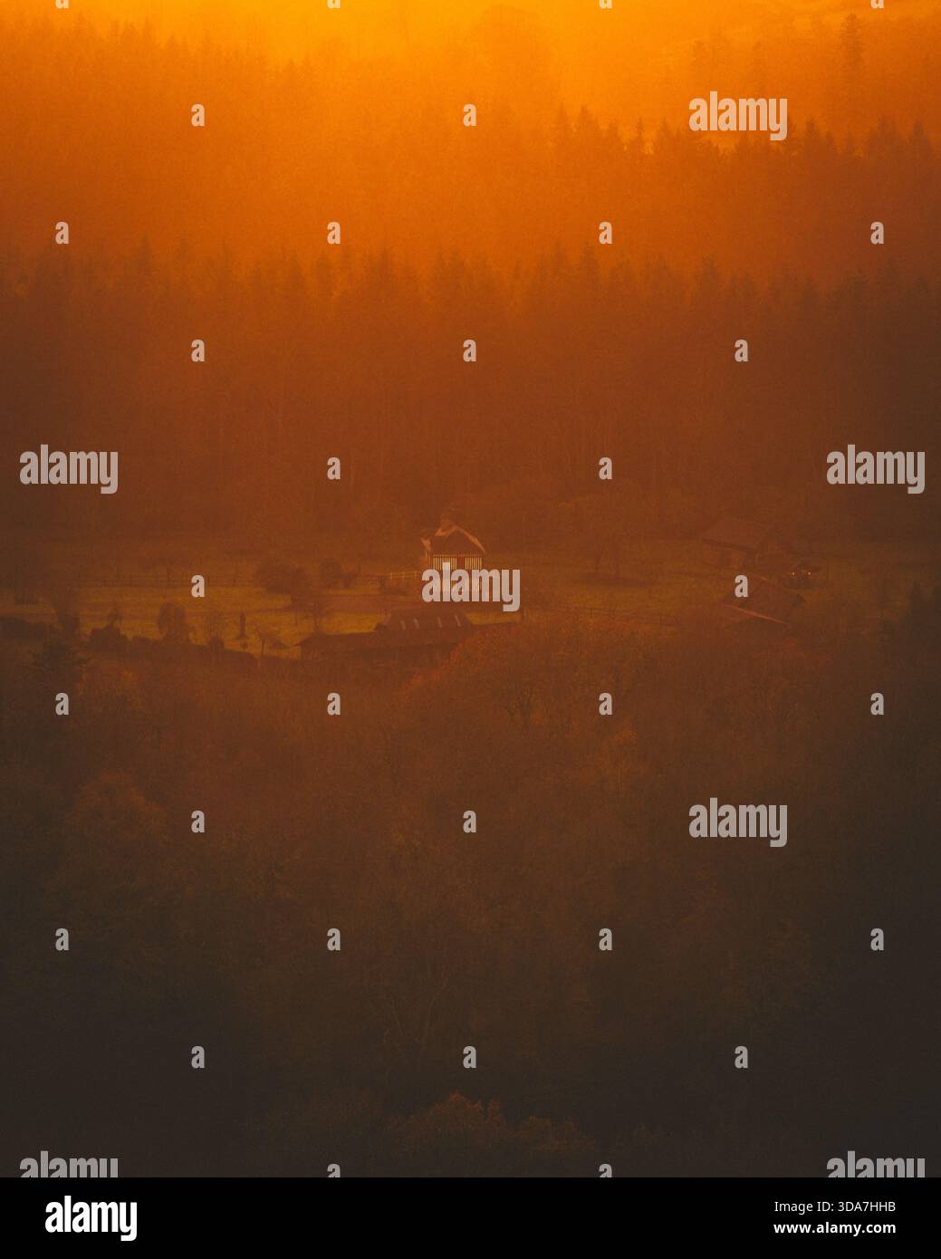 Blick aus der Vogelperspektive auf ein einsames Haus inmitten einer goldenen, trüben Landschaft, getaucht im warmen Glanz der untergehenden Sonne, Saint-Hymer, Normandie, Frankreich. Stockfoto