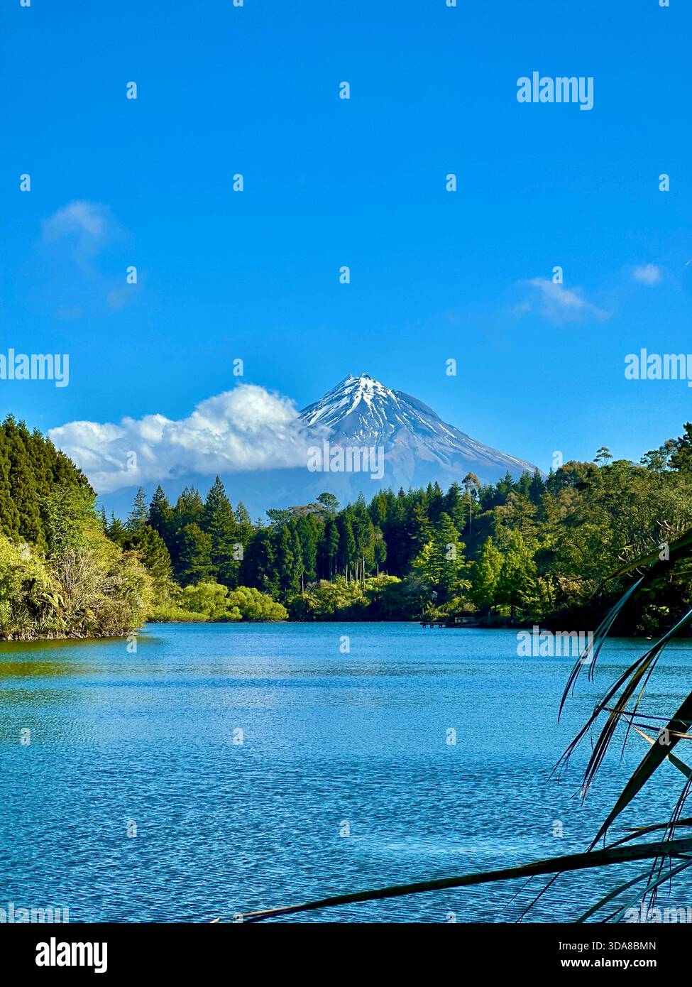 Natur - Smartphone-aufgenommenes Stockfoto