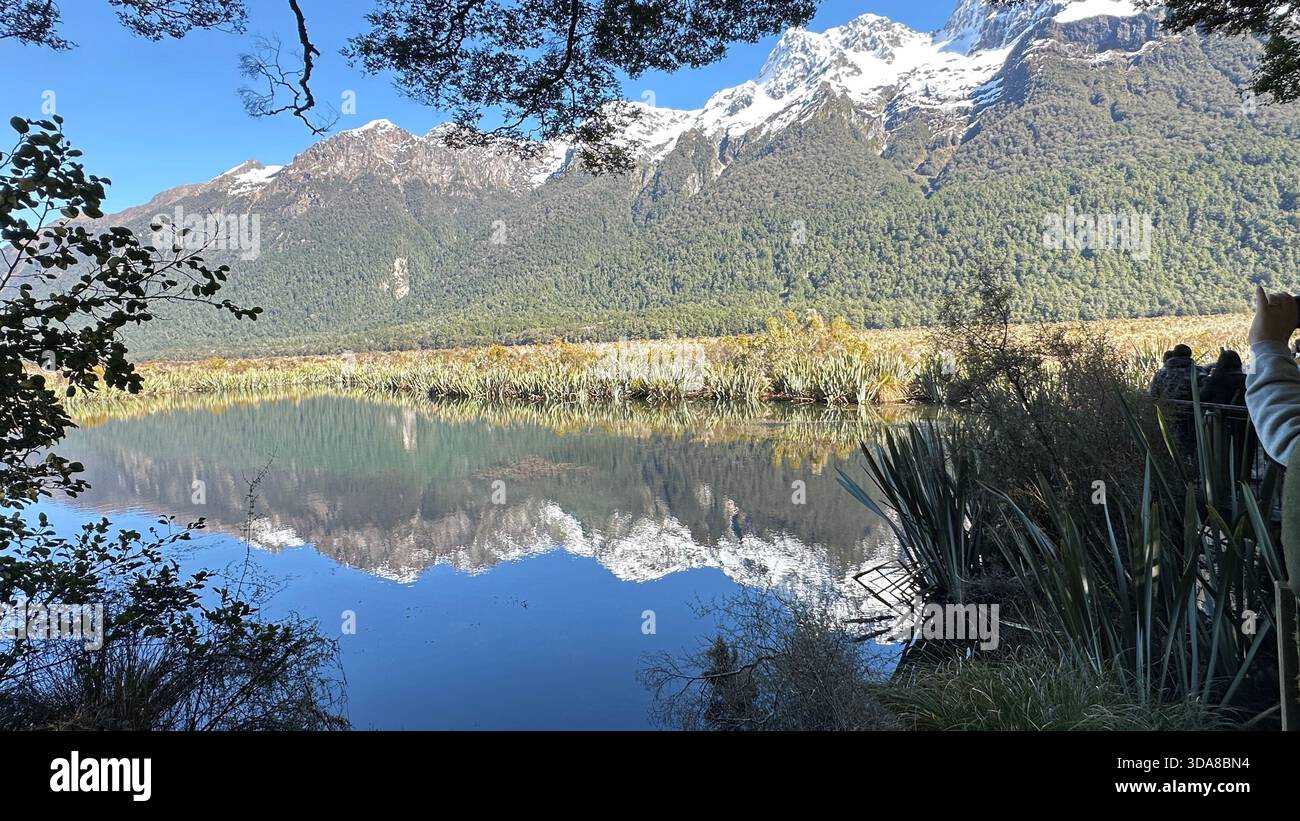Natur - Smartphone-aufgenommenes Stockfoto