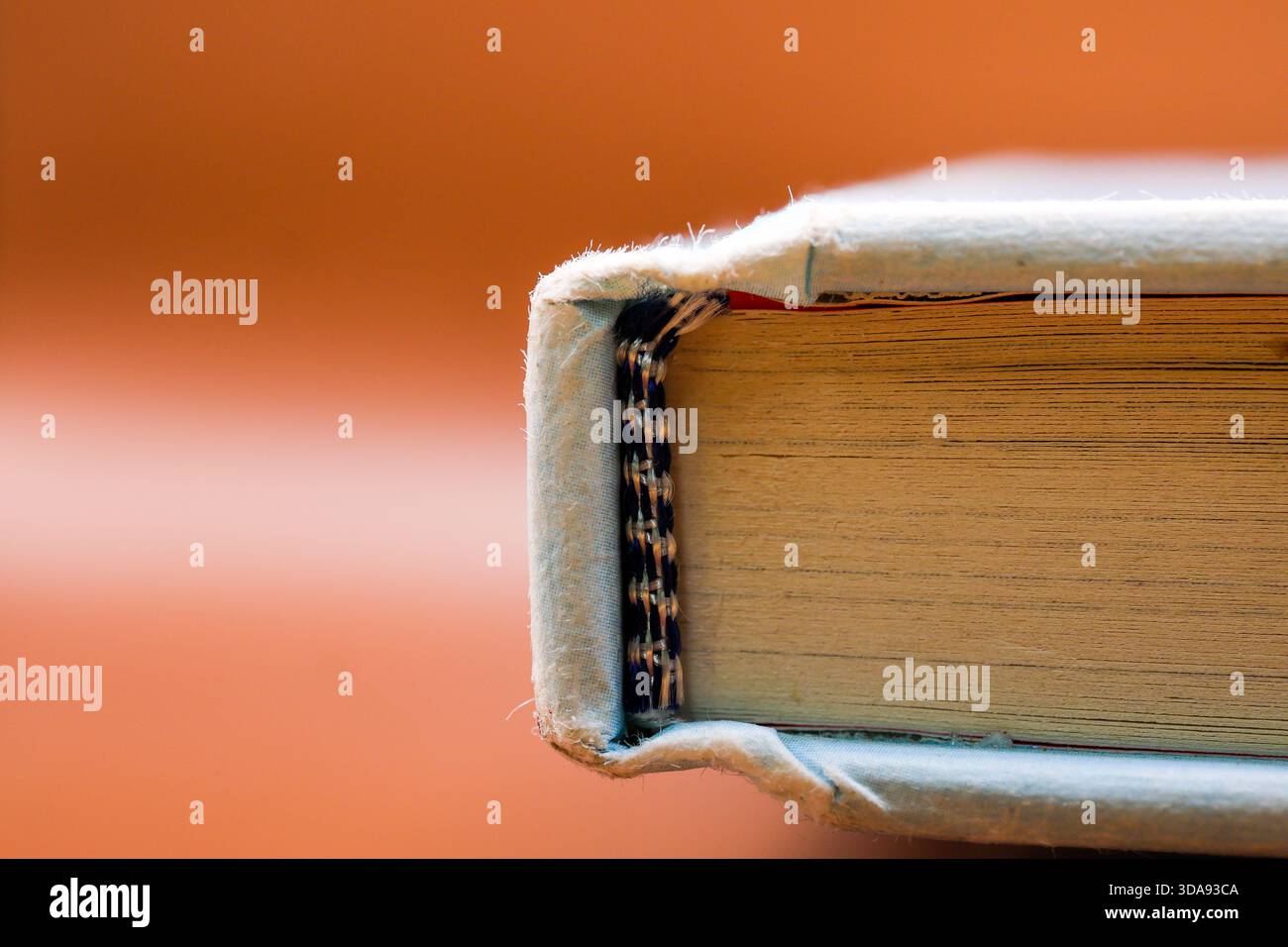 Makronaht einer alten Buchkante mit strukturierten Seiten und abgenutztem Hardcover. Stockfoto