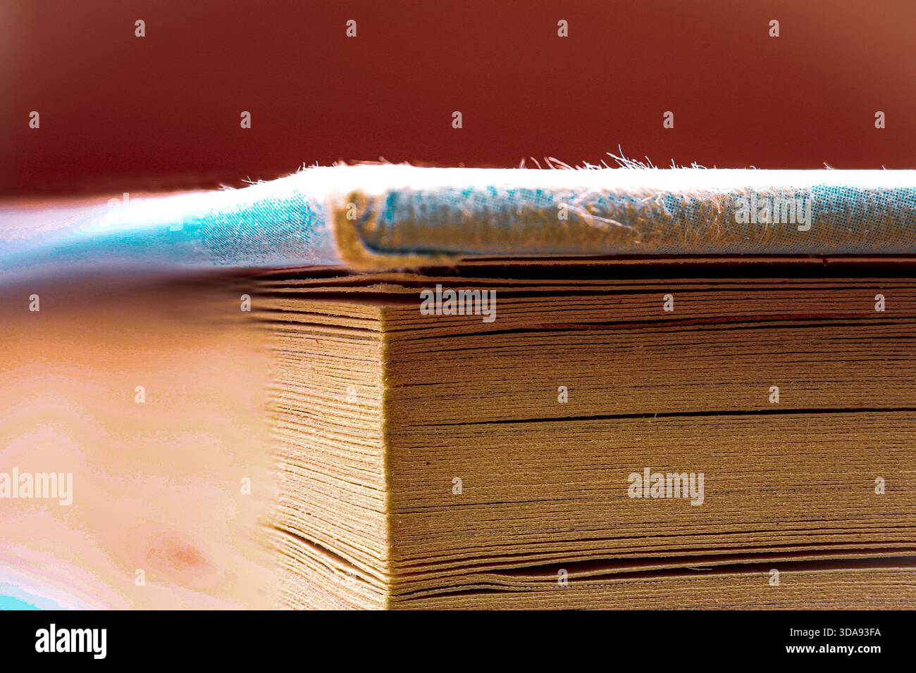 Makronaht einer alten Buchkante mit strukturierten Seiten und abgenutztem Hardcover. Stockfoto