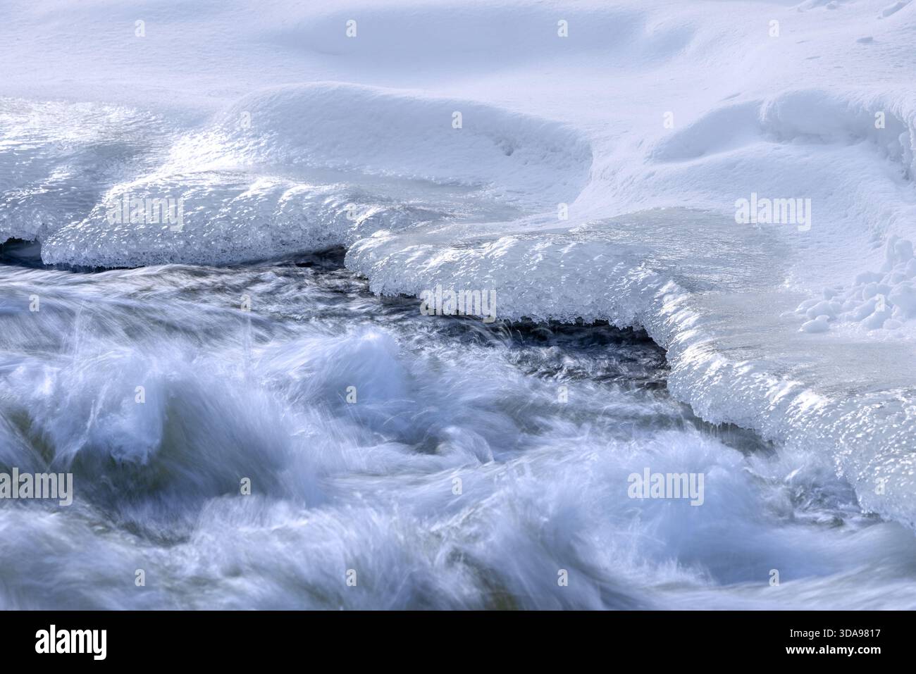 Eisbildung durch Frost und eiskalte Temperaturen über fließendem Wasser des Flusses entlang des Flusses/Flussufers im Winter Stockfoto