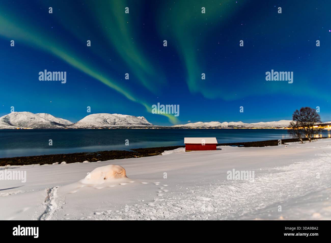 Leuchtend grüne Nordlichter leuchten über Tromsø, Norwegen, und werfen fließende aurorafuhren über den arktischen Nachthimmel Stockfoto