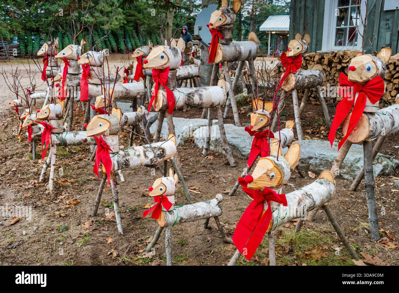 Dekorierte Hirschschscheite auf einer Weihnachtsbaumfarm Stockfoto