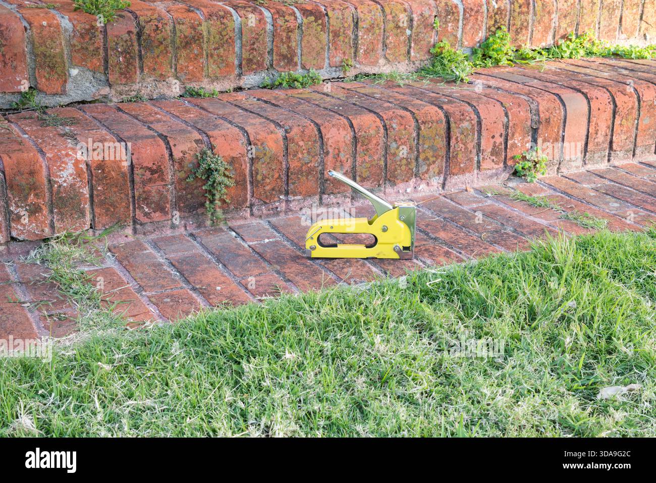 Hellgelbe Klammerpistole, die auf alten Ziegeltreppen mit grünem Gras liegt Stockfoto