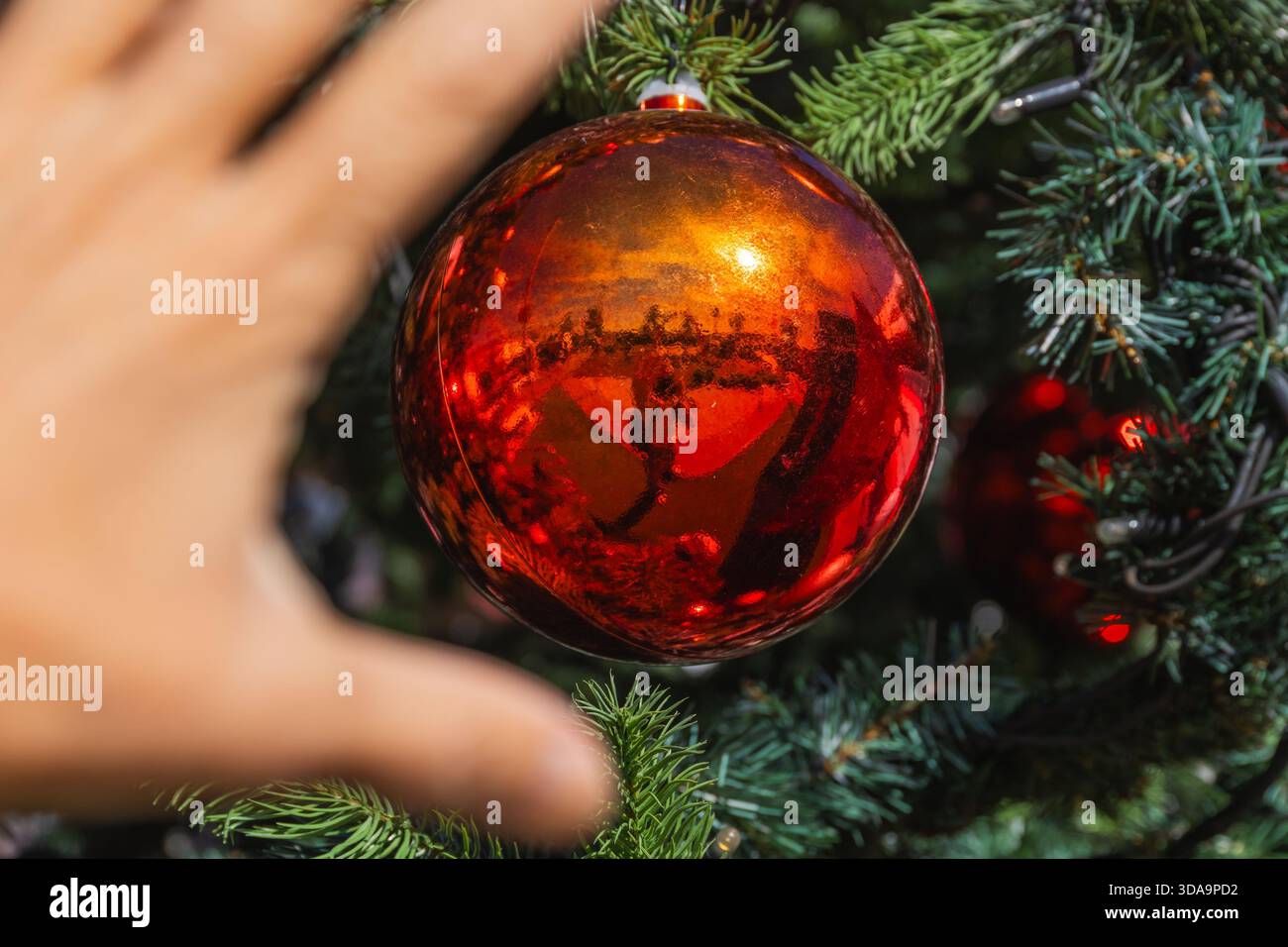 Eine Hand nähert sich einer glänzenden roten Kugel, die eine festliche Outdoor-Szene auf einem geschmückten Weihnachtsbaum reflektiert. Stockfoto