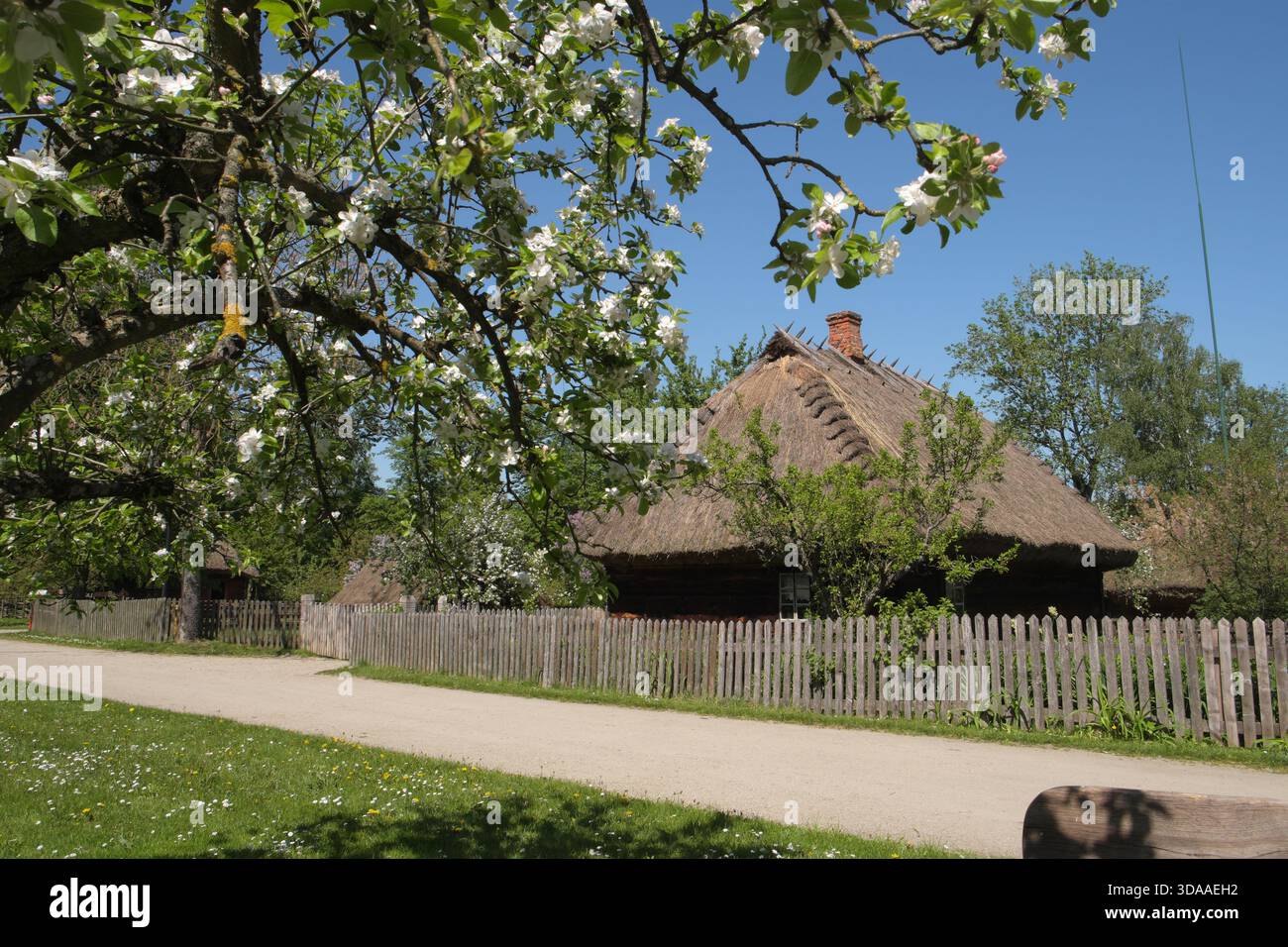 Traditionelles Holzhaus, Skansen, auf dem Gelände des Starzenski-Palastes, Ciechanowcu, Mazovia und Podlaise, Polen Stockfoto