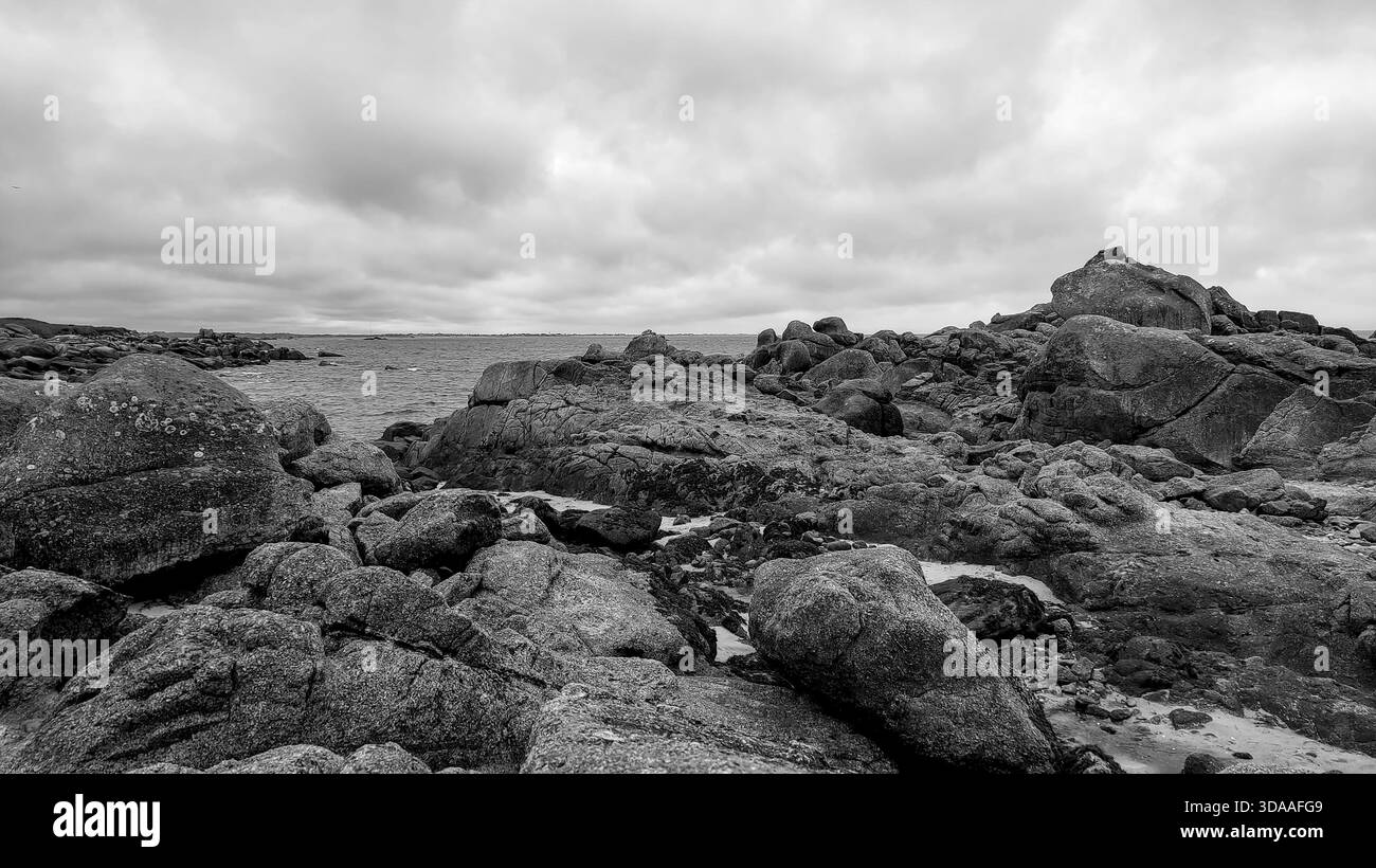 Schwarz-weiße zerklüftete Küstenlandschaft mit moosbedeckten Felsen unter bewölktem Himmel, die eine dramatische und natürliche Atmosphäre schaffen. Stockfoto