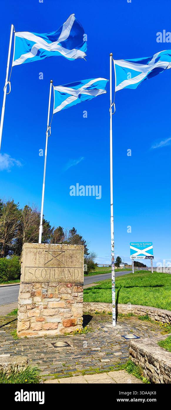 Schottische Fahnen fliegen stolz entlang der Grenze zwischen Schottland und England und symbolisieren Erbe und Nationalstolz Stockfoto