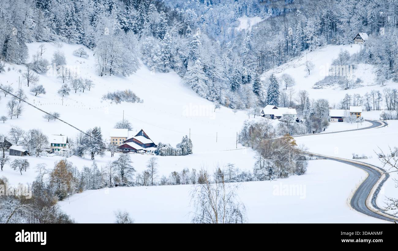Winterwunderland, schneebedecktes Tal in Stallikon, Schweiz, ein schneebedeckter Wald am Morgen nach einem frischen Schneefall in der Nähe von Zürich Stockfoto