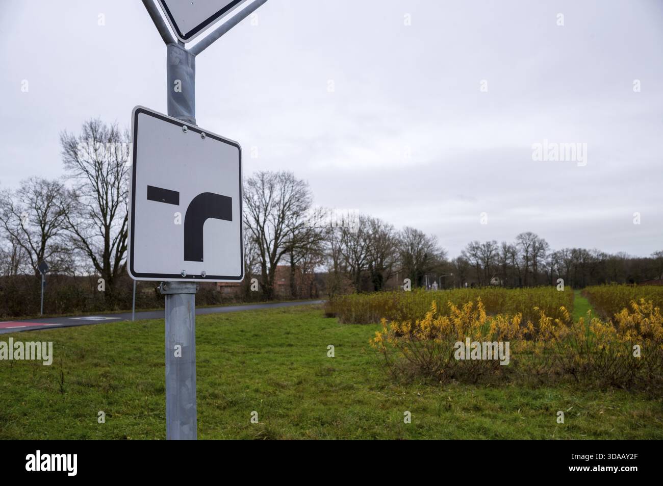 Borken, NRW, Deutschland, Prioritätsschild an einem Stab, das eine Rechtsabbiegung in ländlicher Landschaft zeigt Stockfoto