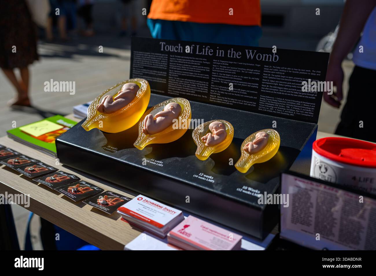 „Touch of Life“-Modelle, die auf dem Marsch for Life in Bratislava, Slowakei, ausgestellt wurden Stockfoto