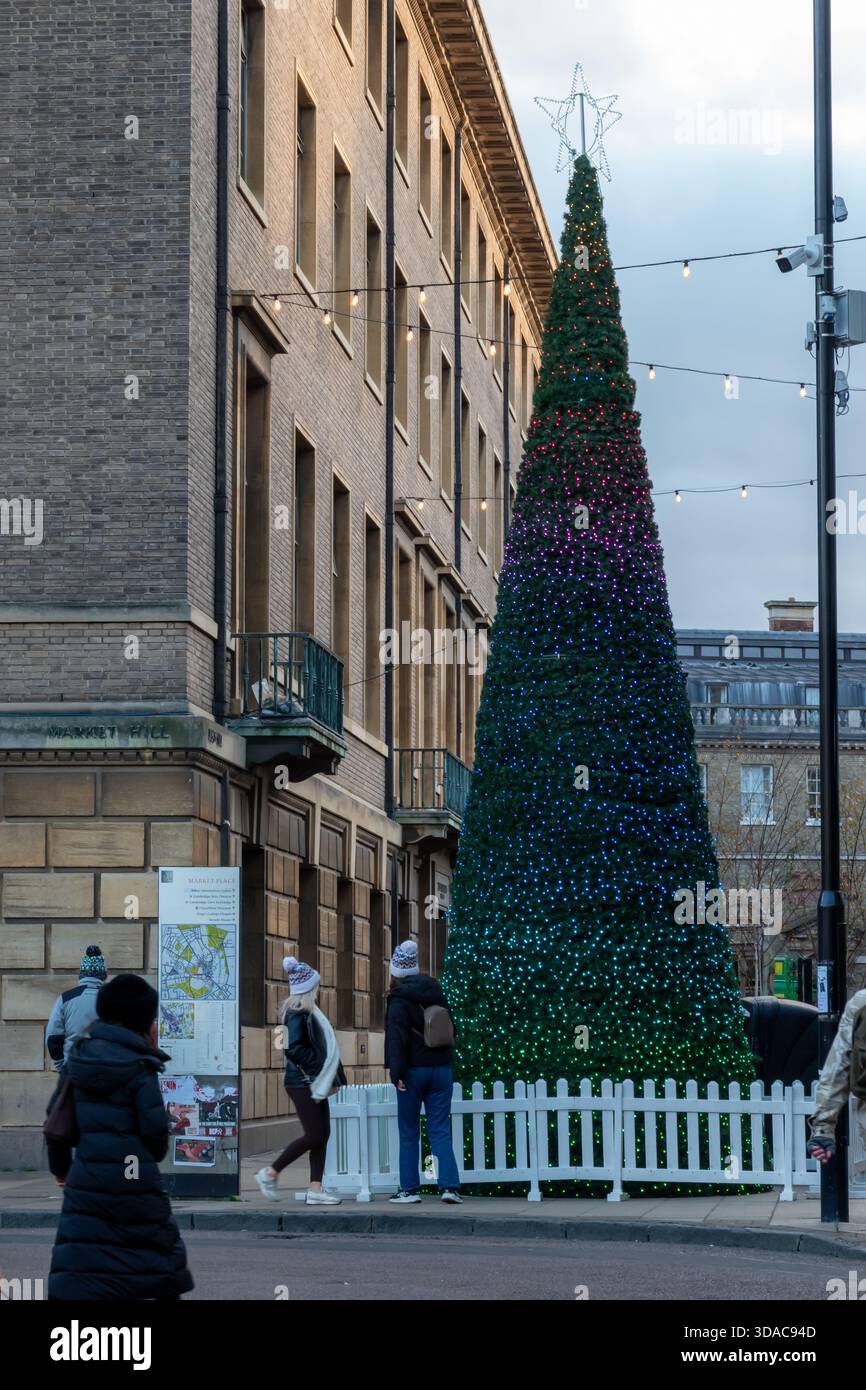 Cambridge Weihnachtsbaum beleuchtet mit bunten LED-Lichtern im Stadtzentrum Stockfoto