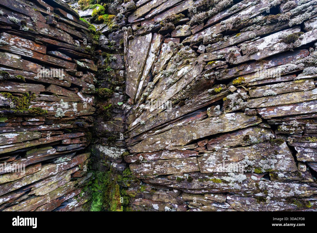 Schieferwanddetails mit Flechten und Moos im Schieferbruch Cwmorthin Stockfoto