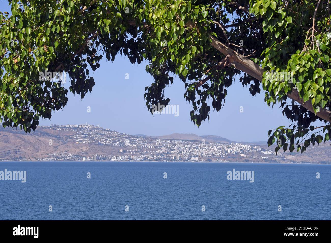 Tiberius am See von Galiläa Stockfoto