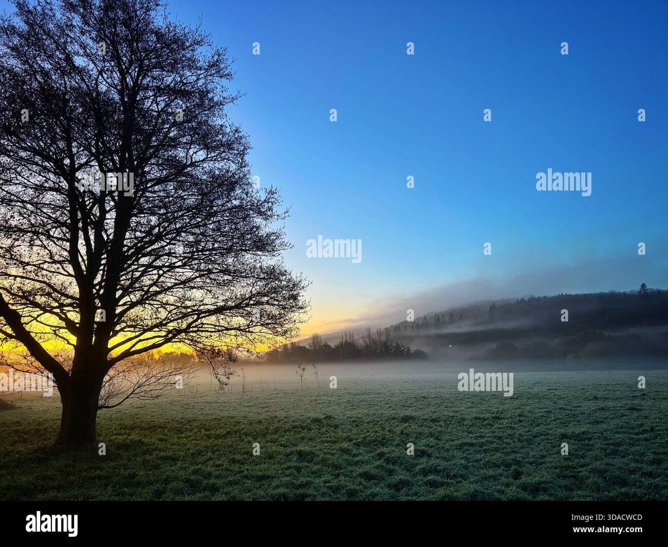 Kalter, frostiger, nebeliger Wintermorgen in der Nähe von Cardiff, Wales Stockfoto