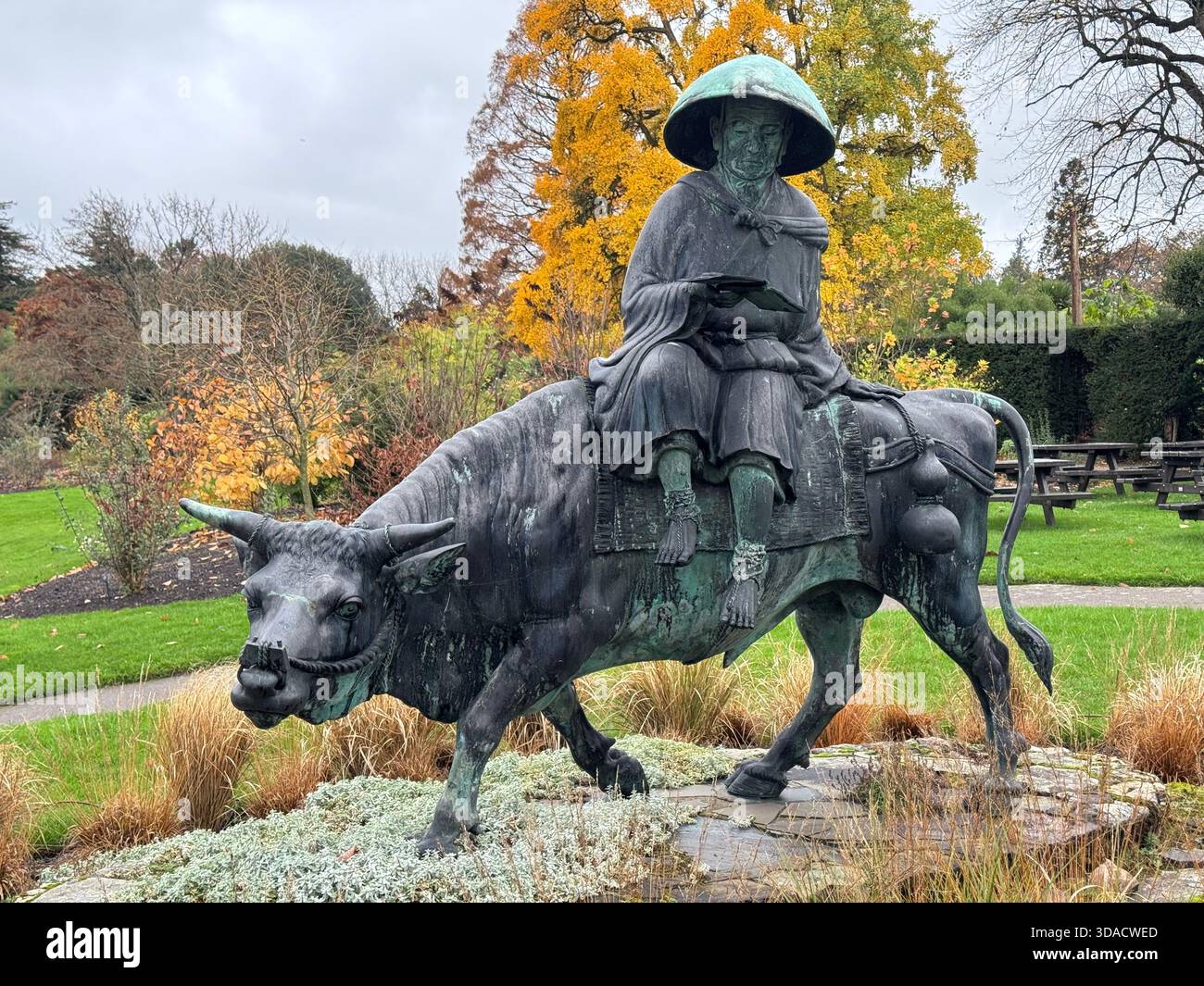 Bronzestatue in Dyffryn Gardens eines Mannes, der auf der Rückseite eines Wasserbüffels liest, Vale of Glamorgan, Südwales. - Smartphone-aufgenommenes Stockfoto