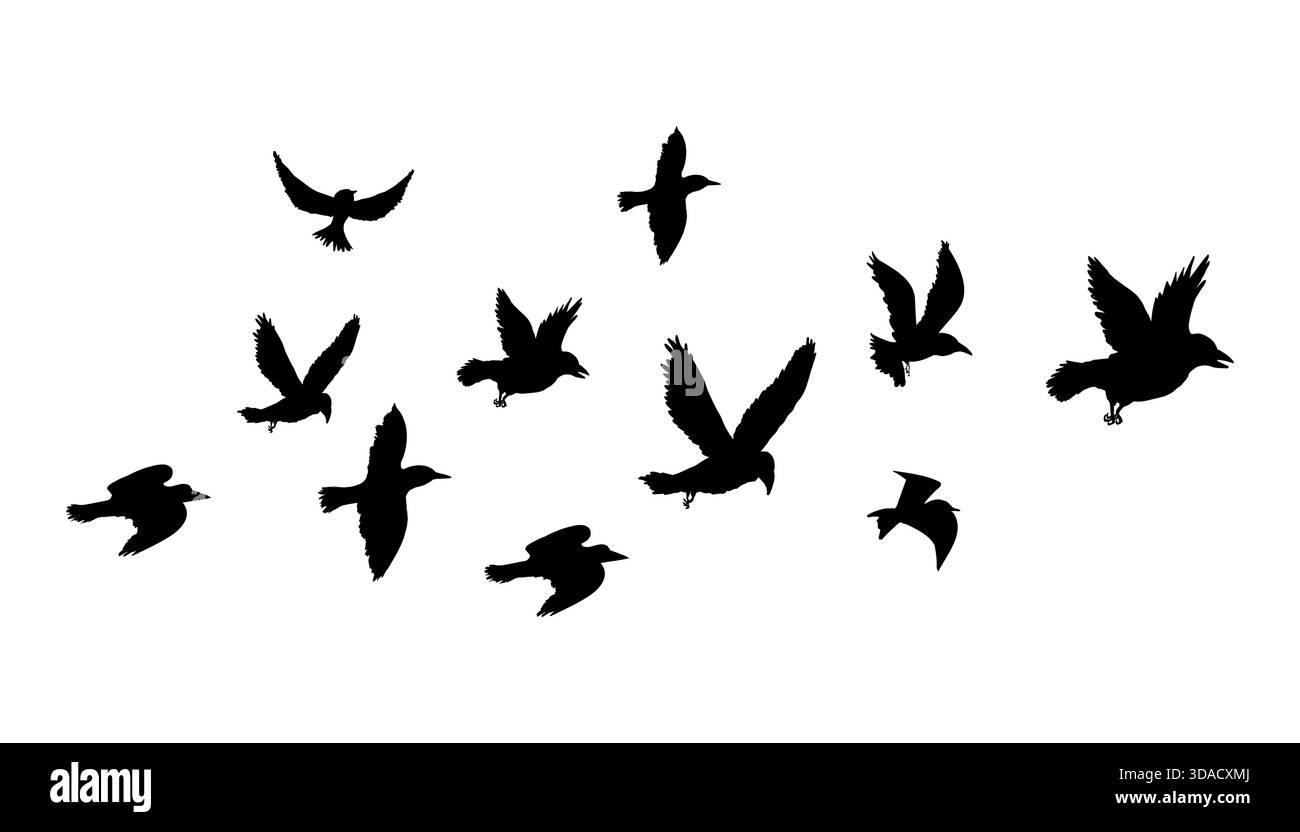 Fliegende Vogelschwärme Silhouette, einfache Schwalben im Flug, Krähen am Himmel. Gruppe von Vögeln Grenze. Vektorabbildung Stock Vektor