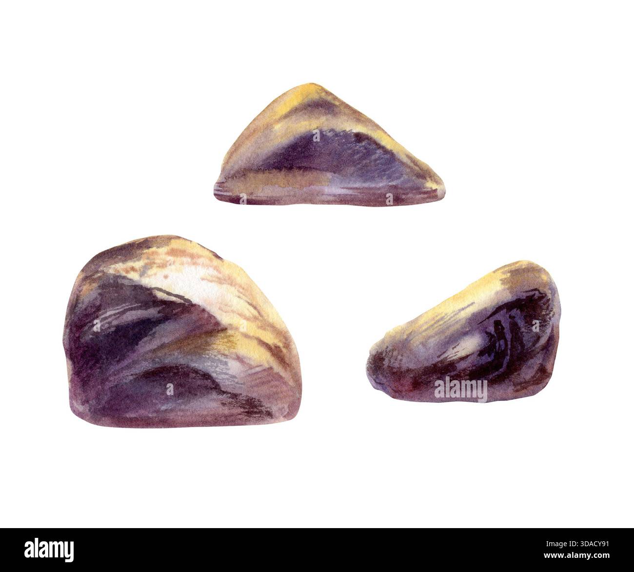 Steine gesetzt in Sonnenuntergangslicht getaucht, werfen violette Schatten. Hand gezeichnete isolierte Illustration gemalt in weichem Aquarell mit kühlem Kontrast, natürliche Szene Stockfoto