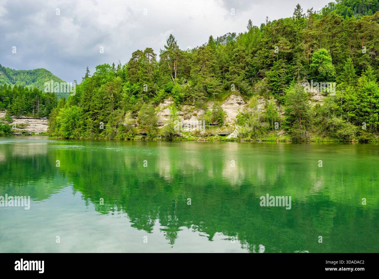 Elisabethsee im Frühjahr, Österreich, Oberösterreich Stockfoto