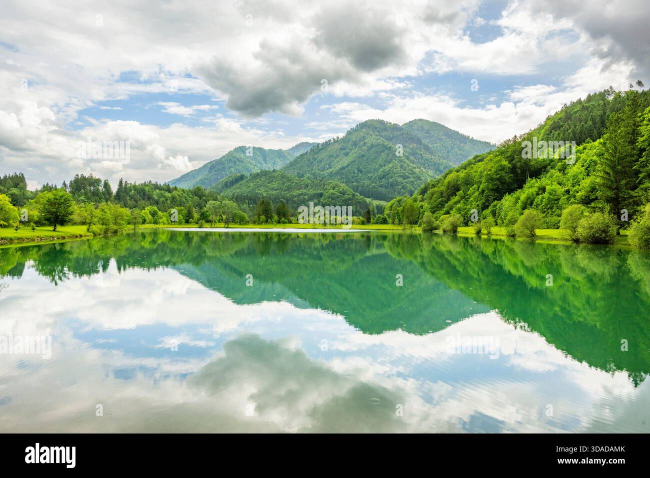 Elisabethsee im Frühjahr, Österreich, Oberösterreich Stockfoto