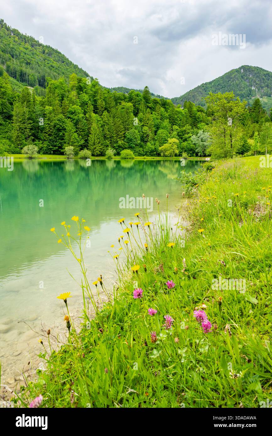 Elisabethsee im Frühjahr, Österreich, Oberösterreich Stockfoto