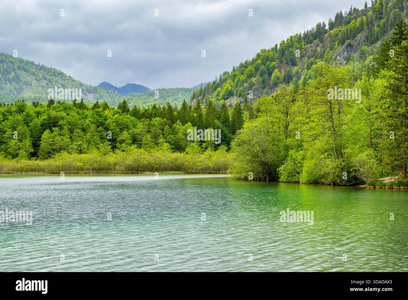 offensee im Frühjahr, Österreich, Oberösterreich, Salzkammergut Stockfoto