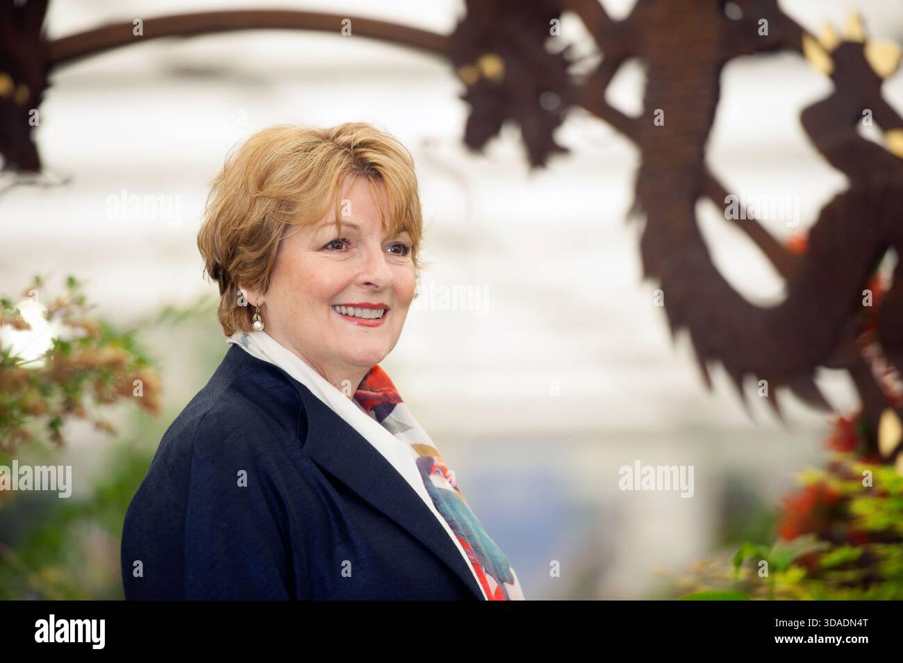 London UK 18. Mai 2015 RHS Chelsea Flower Show Tag drücken. Award-winning Schauspielerin Brenda Blethyn auf dem Stand von Burncoose Baumschulen Stockfoto