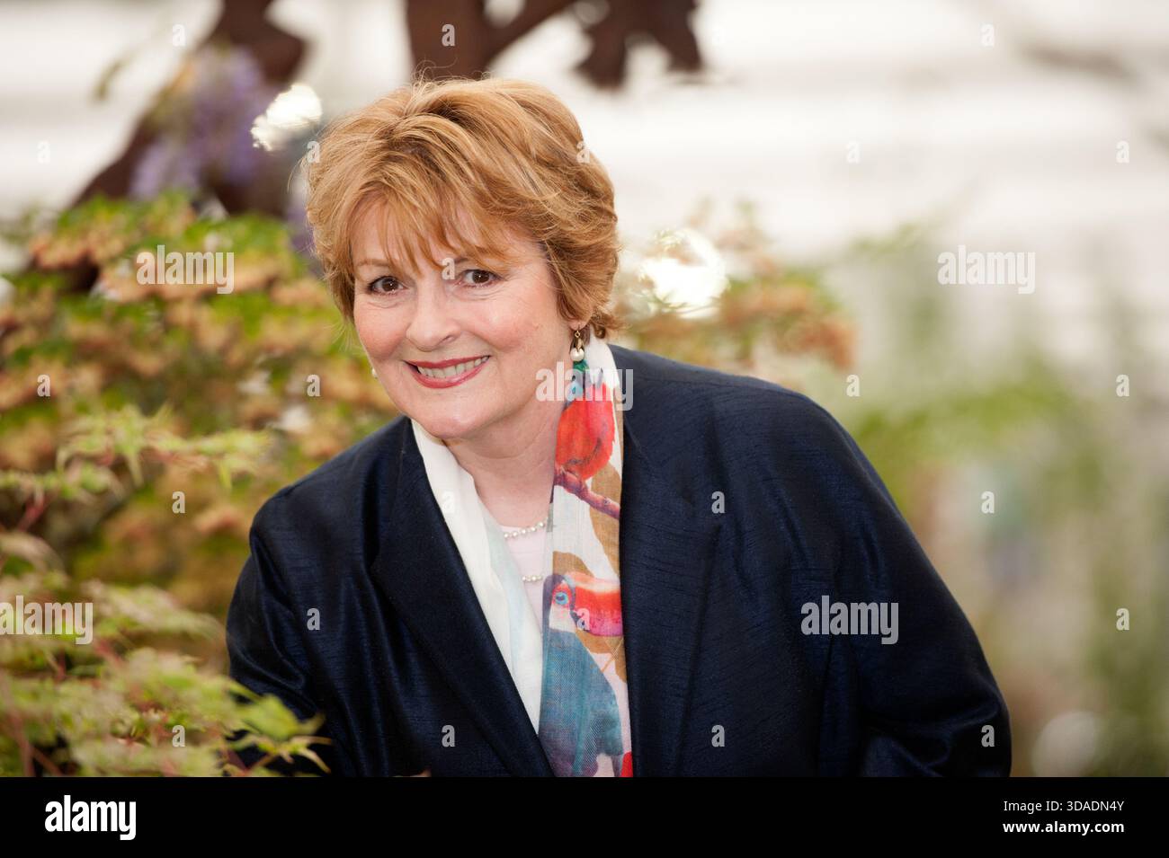 London UK 18. Mai 2015 RHS Chelsea Flower Show Tag drücken. Award-winning Schauspielerin Brenda Blethyn auf dem Stand von Burncoose Baumschulen Stockfoto
