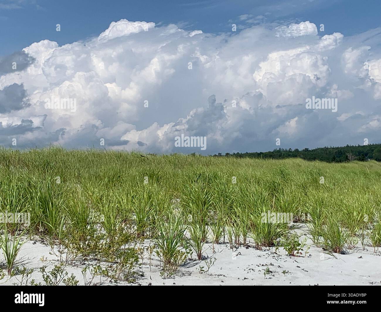 Wolken über einem Strand - Smartphone-aufgenommenes Stockfoto