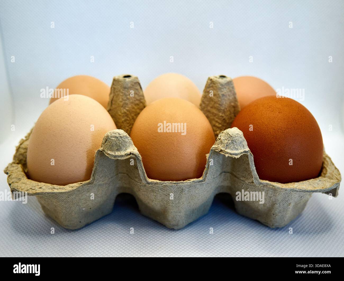 Ein halbes Dutzend frische braune Eier in recyceltem Karton Stockfoto