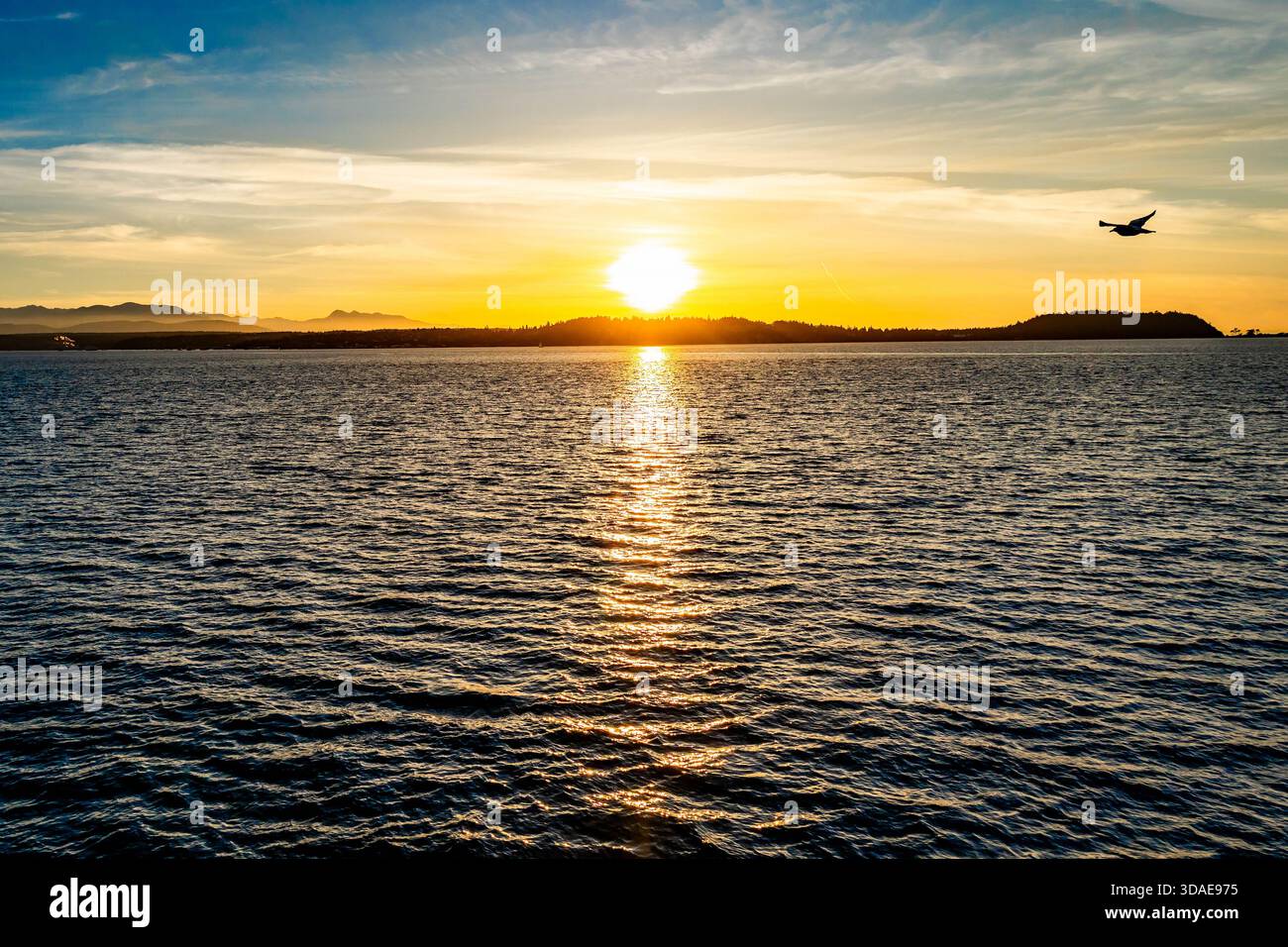 Ein malerischer Blick auf die bezaubernde Stadt Port Townsend, von einer Fähre aus gesehen, die als gemeinsames Tor zum Olympic National Park dient Stockfoto