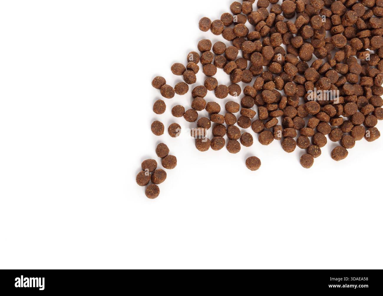 Verstreute Kroketten auf weiß. Draufsicht auf trockene Insektenproteintrommel aus schwarzen Soldatenfliegenlarven. Hypoallergenes Tierfutter für Hunde und Katzen mit f Stockfoto