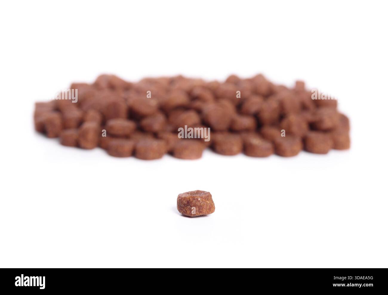 Trockeninsektproteintrommel aus schwarzen Soldatenfliegenlarven. Nachhaltiges hypoallergenes Heimtierfutter für Hunde und Katzen mit Lebensmittelallergien Stockfoto