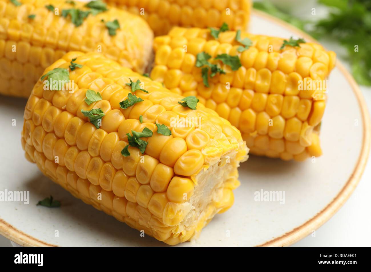 Stücke gekochter Maiskolben mit Petersilie auf weißem Tisch, Großaufnahme Stockfoto