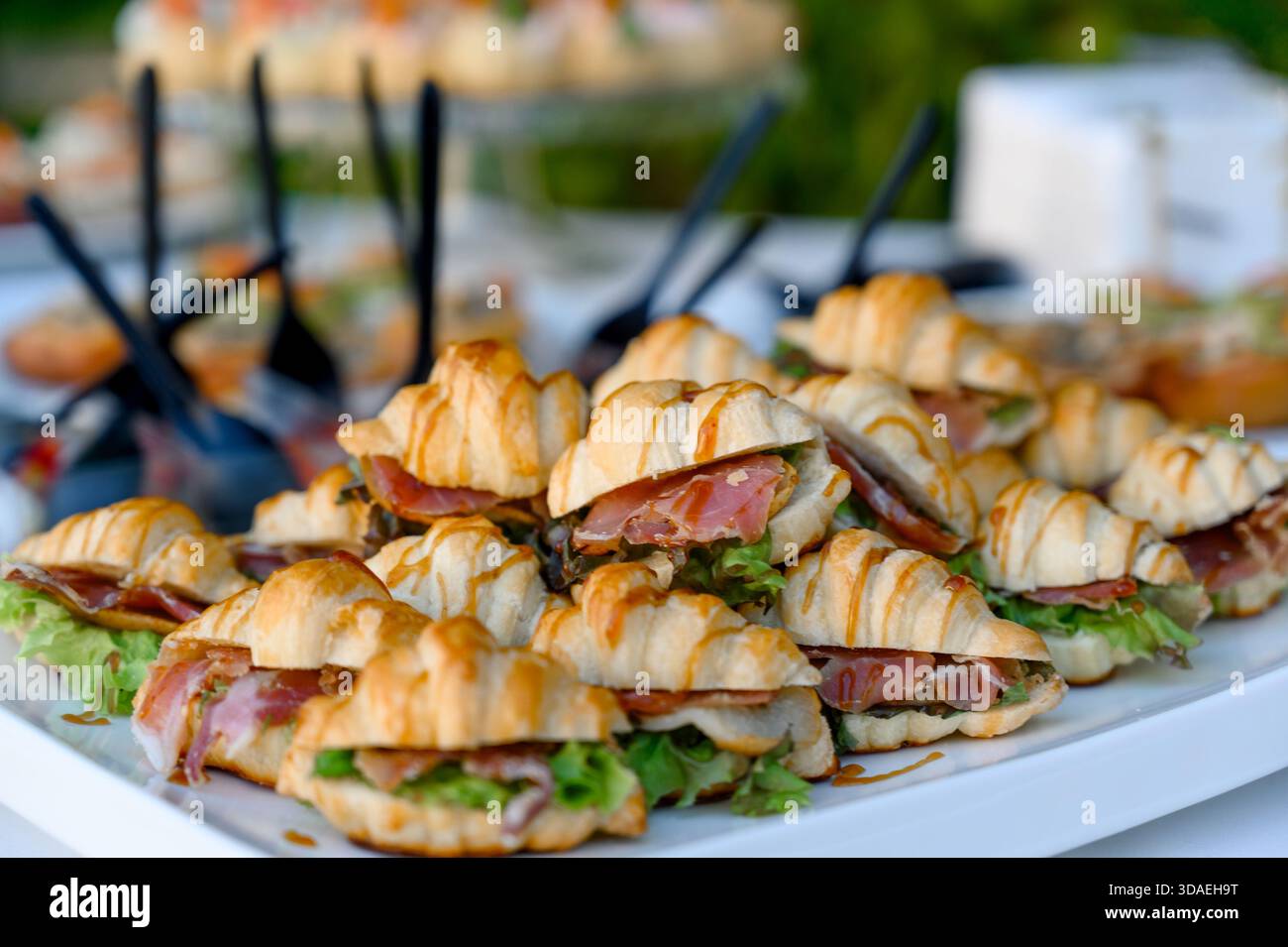 Mini Croissant Sandwiches mit Schinken, grünem Salat und Sauce auf einem weißen Tablett. Ein Buffet mit Croissants gefüllt mit Aufschnitt und frischem sal Stockfoto