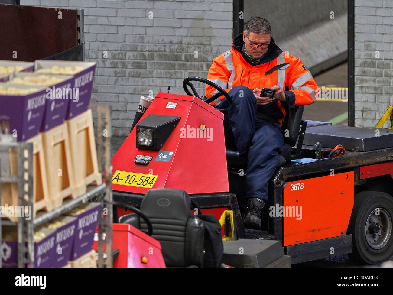 Arbeiter beschäftigt bei Royal FloraHolland, Niederlande Stockfoto