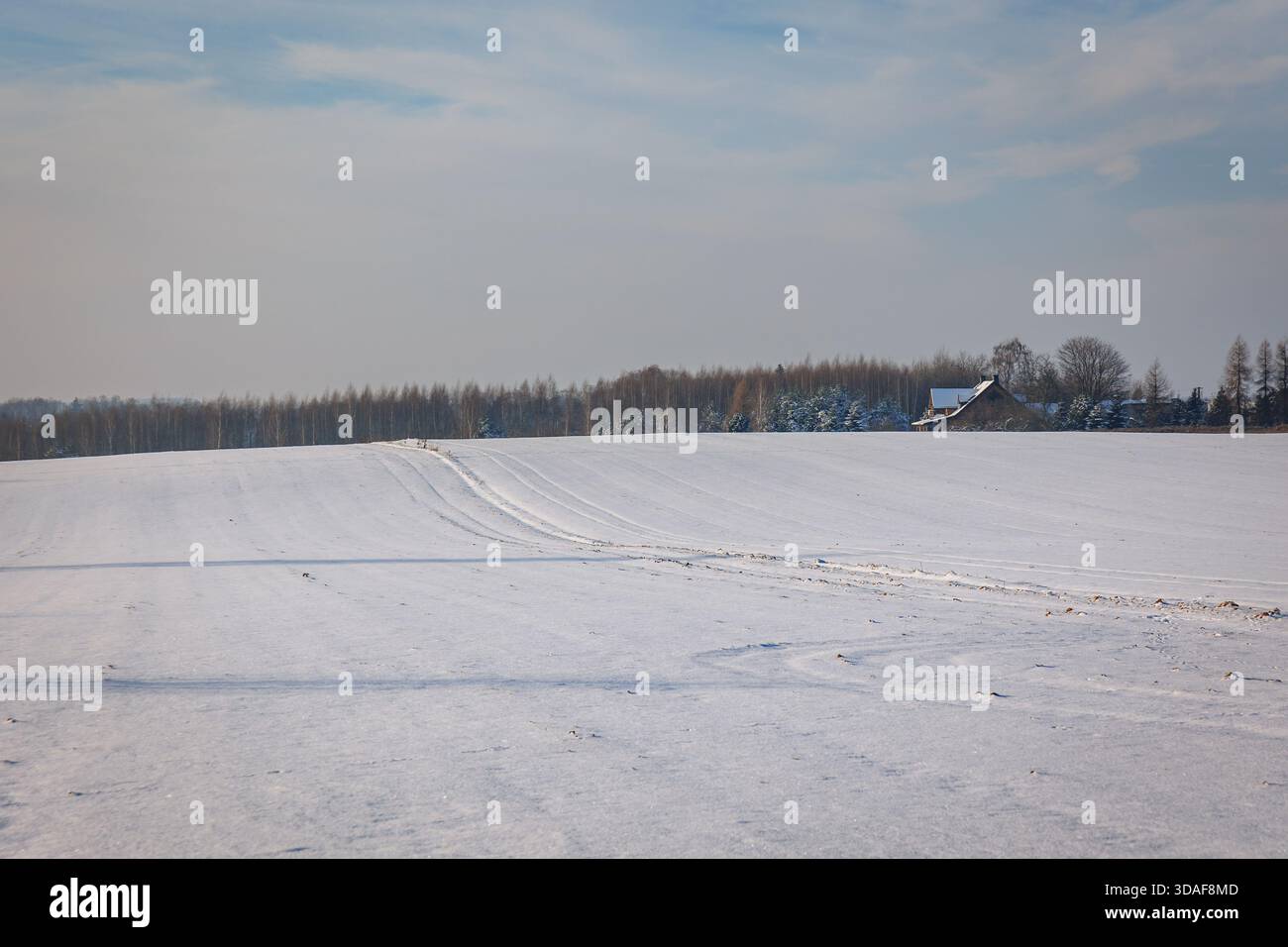 Schneebedeckte Winterfelder in der Woiwodschaft Lodzkie in Polen Stockfoto
