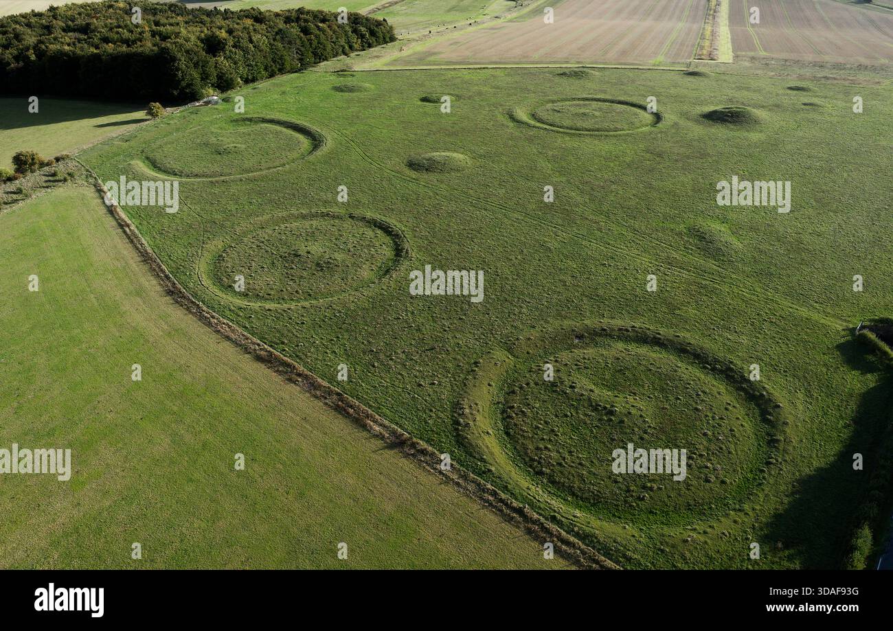 Oakley Down Barrow Cemetery, Dorset. Hauptgruppe von bronzezeitlichen Hügeln, Scheiben- und Schälkarren. Inhumation und Einäscherung Primär- und Sekundärbeerdigungen Stockfoto