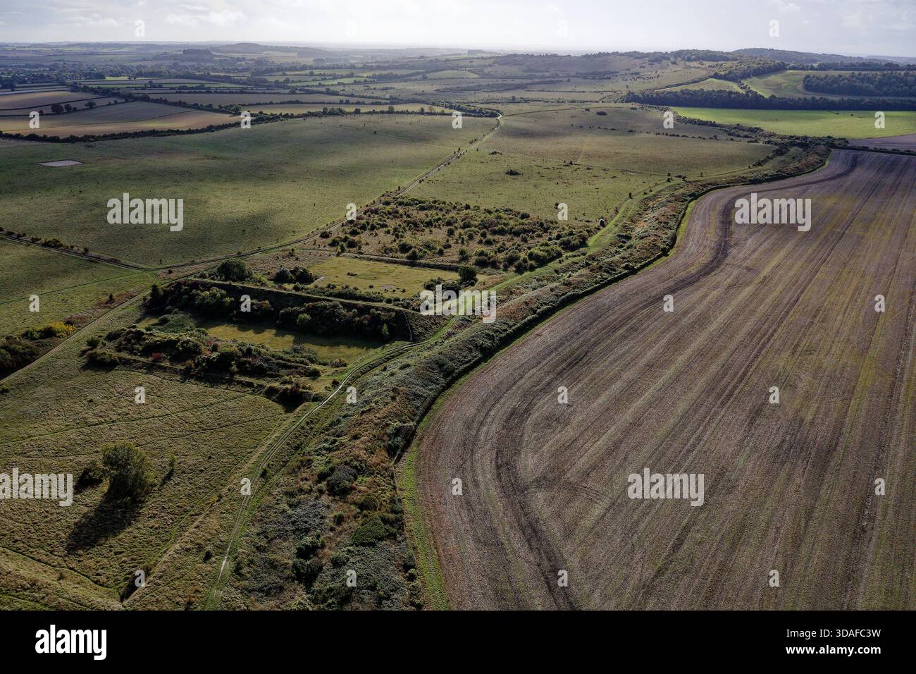 Bokerley Dyke 5,75 km lange, prähistorische lineare Erdbauarbeiten schlängeln sich über den Rand von Martin in der Nähe des östlichen Endes von Dorset Cursus. Bronze- oder früheisenzeitliche Grenze Stockfoto