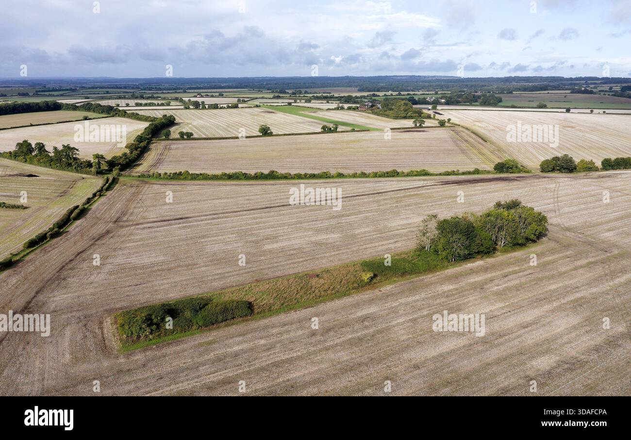 Pentridge 22 und Pentridge 22, oft als Long barrow bezeichnet, im nordöstlichen Osten von 3300 v. Chr. Dorset Cursus hier auch bekannt als Pentridge Cursus Stockfoto