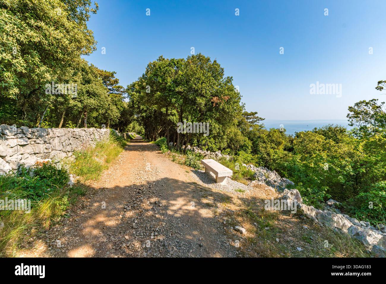 Ruhiger und malerischer Küstenwanderweg, der durch üppiges Grün in Richtung des Golfs von Triest in Italien führt Stockfoto