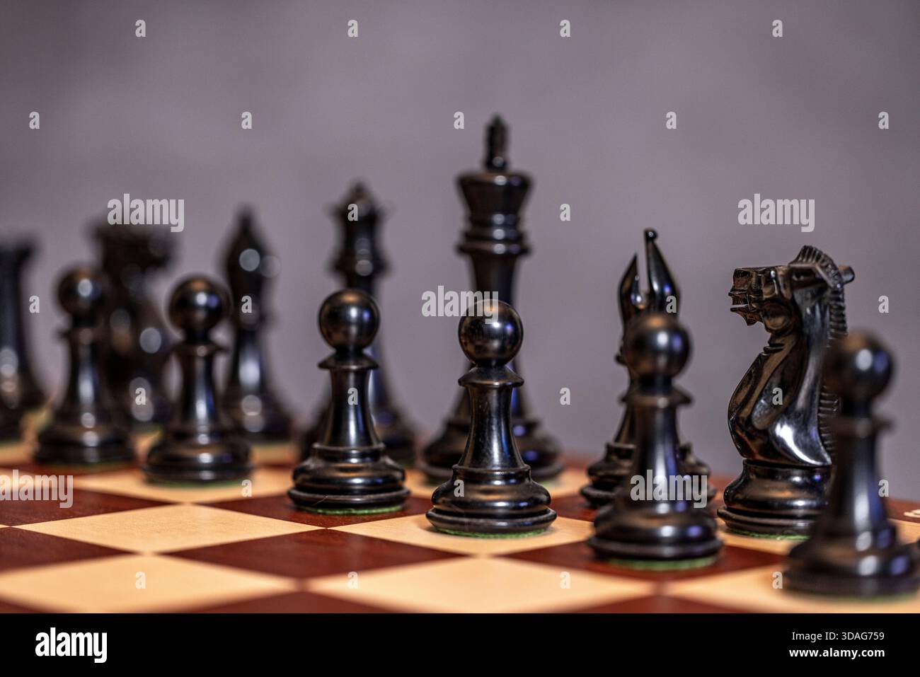 Nahaufnahme von schwarzen Schachfiguren auf einem Schachbrett. Stockfoto