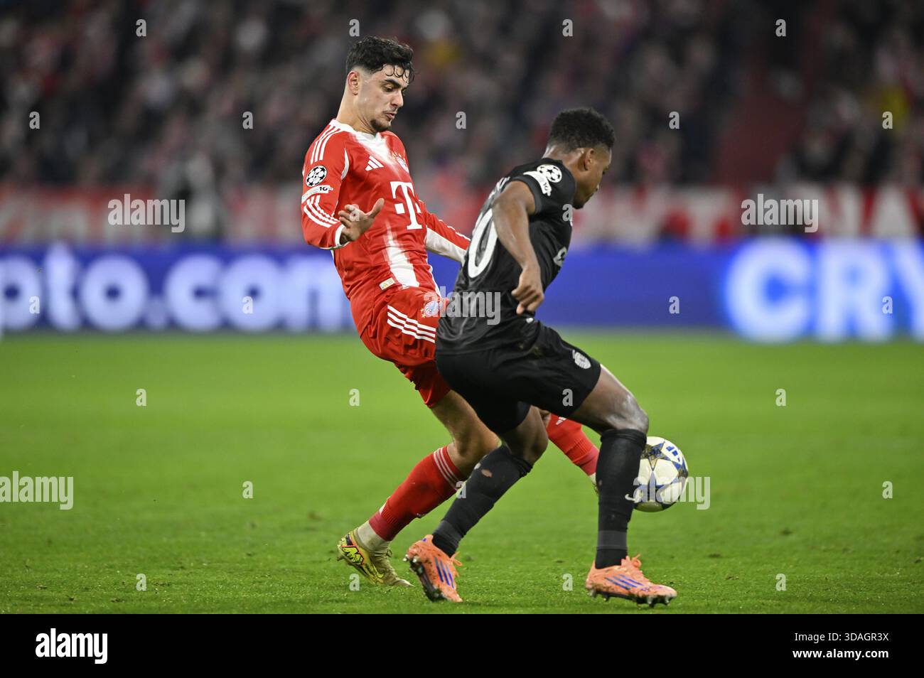 Scp sportliches lissabon -Fotos und -Bildmaterial in hoher Auflösung ...