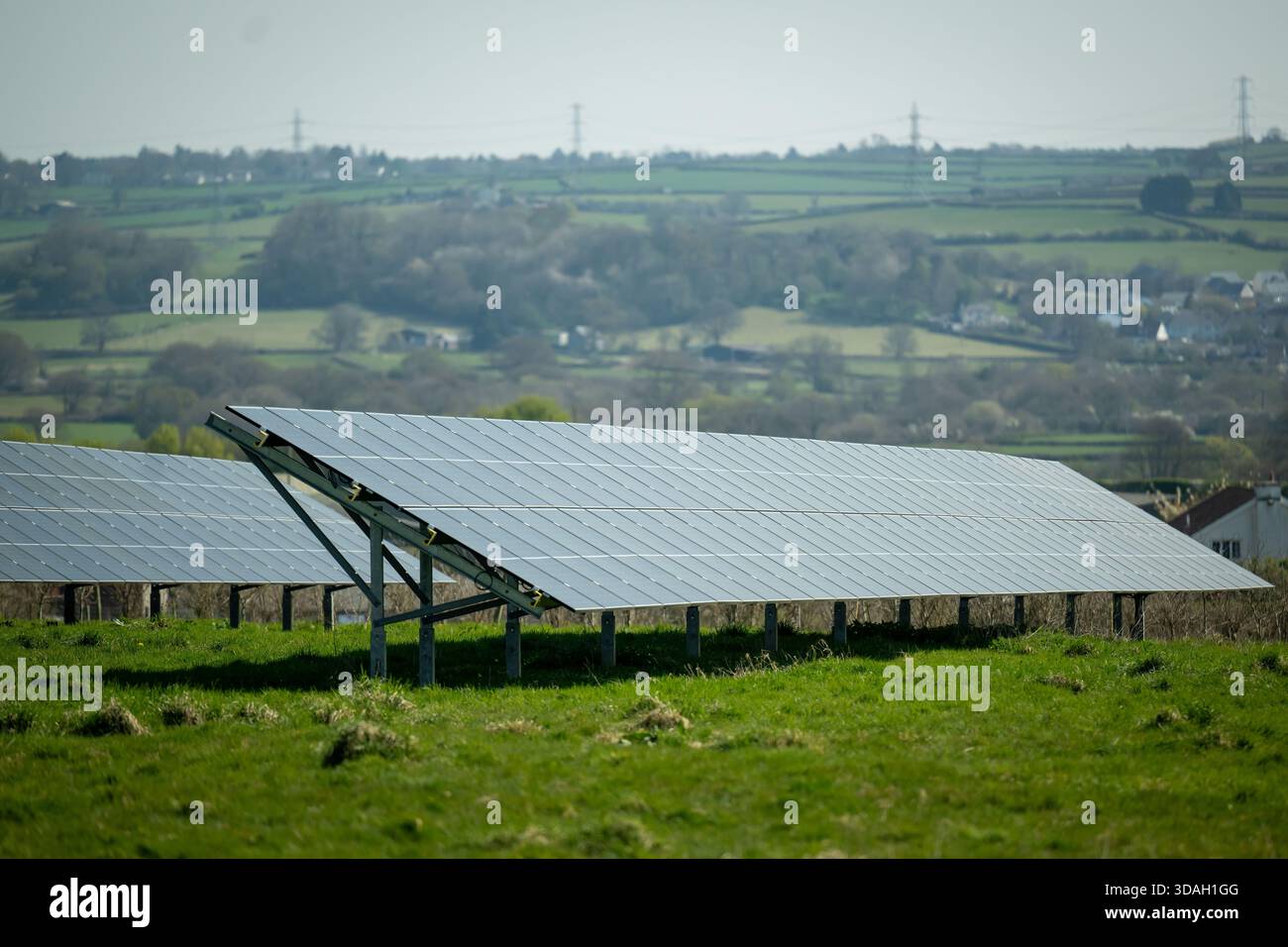 Ein Feld aus Solarpaneelen erstreckt sich über ein grasbewachsenes Feld unter hellem Himmel in Cowbridge, Wales. Stockfoto