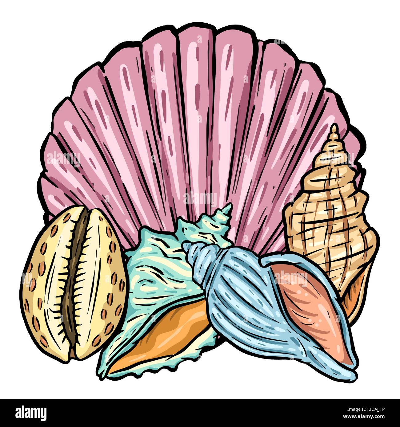 Muschel Clipart Illustration Muscheln Strand Surf Muscheln, Muscheln, Cowrie Stockfoto