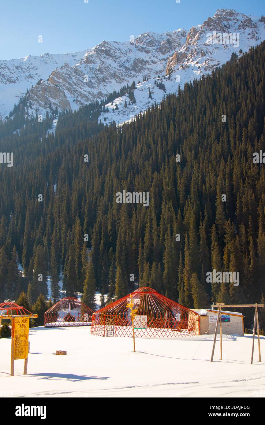 Holzrahmen aus Jurten auf einer verschneiten Lichtung in einem Öko-Camp, umgeben von einem Kiefernwald Stockfoto