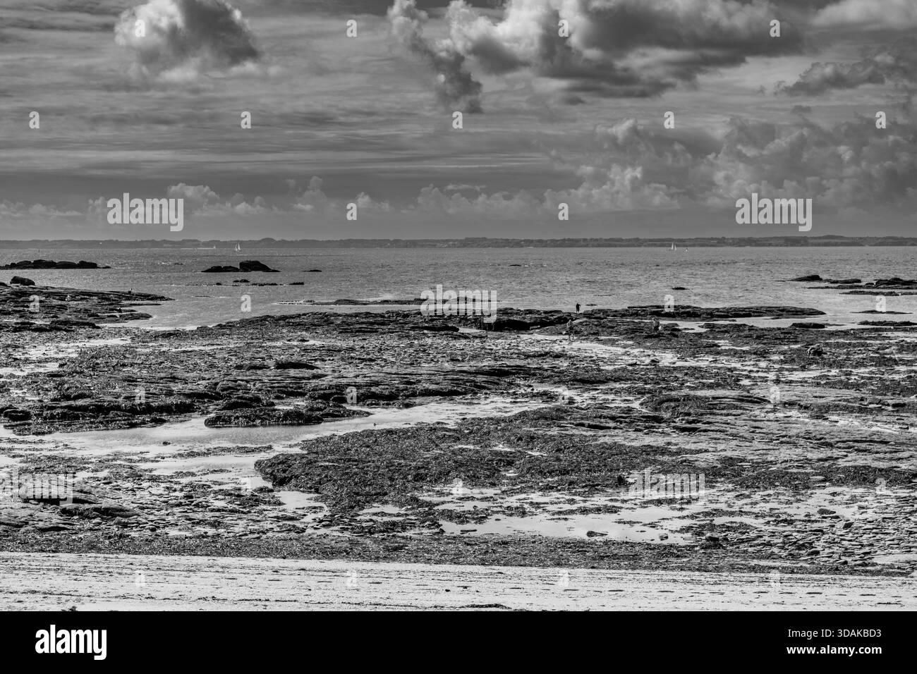Quiberon Halbinsel Ebbe Landschaft mit Wolken in Finistère, Bretagne Frankreich Stockfoto